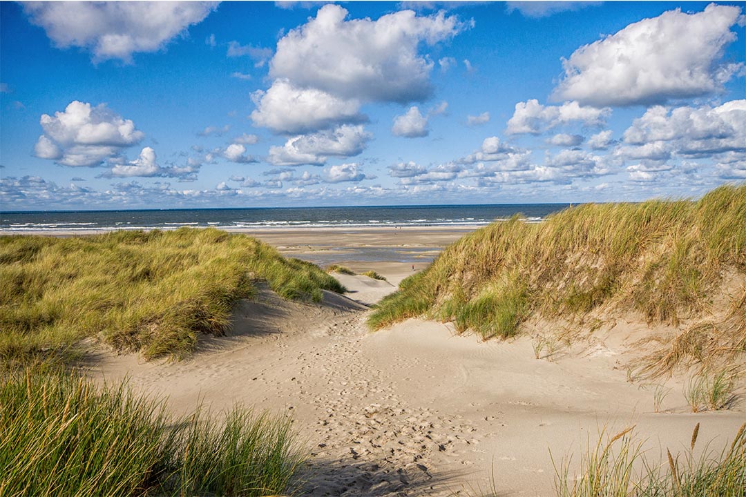 Duinvallei met zicht op zee