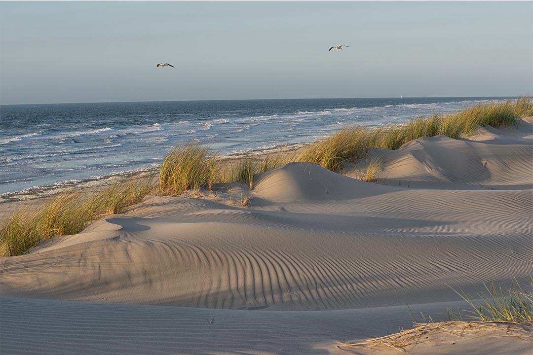 Duinlandschap om de oost