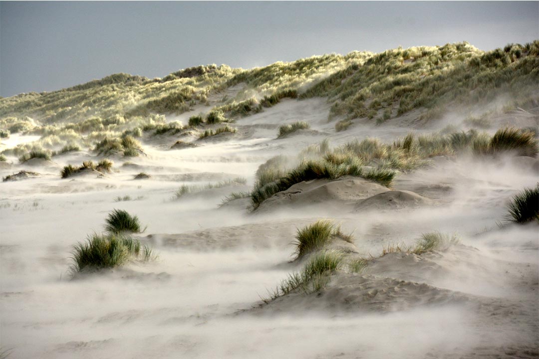 Storm op het Strand