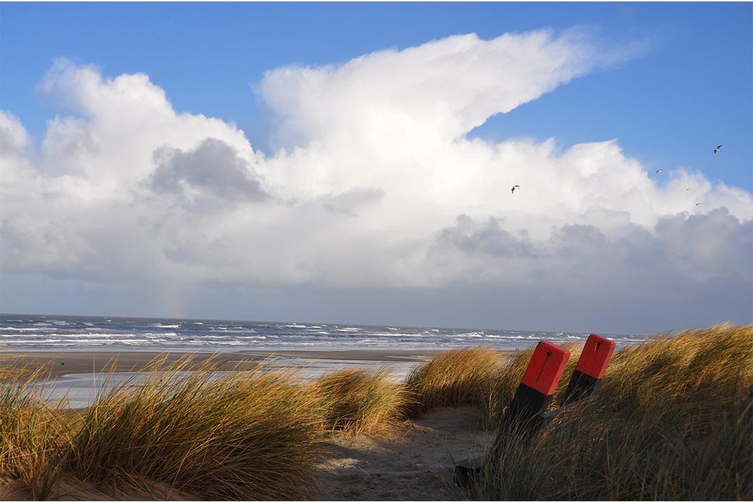 Bankje met aambeeld Midsland aan Zee