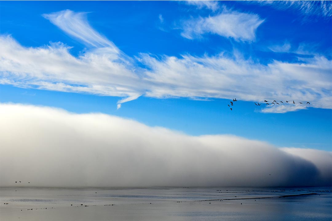 Rolwolk op Terschelling